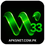 W33 Game